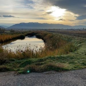 Meet your Posher, Brody